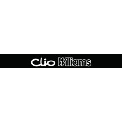 CLIO Williams pare soleil