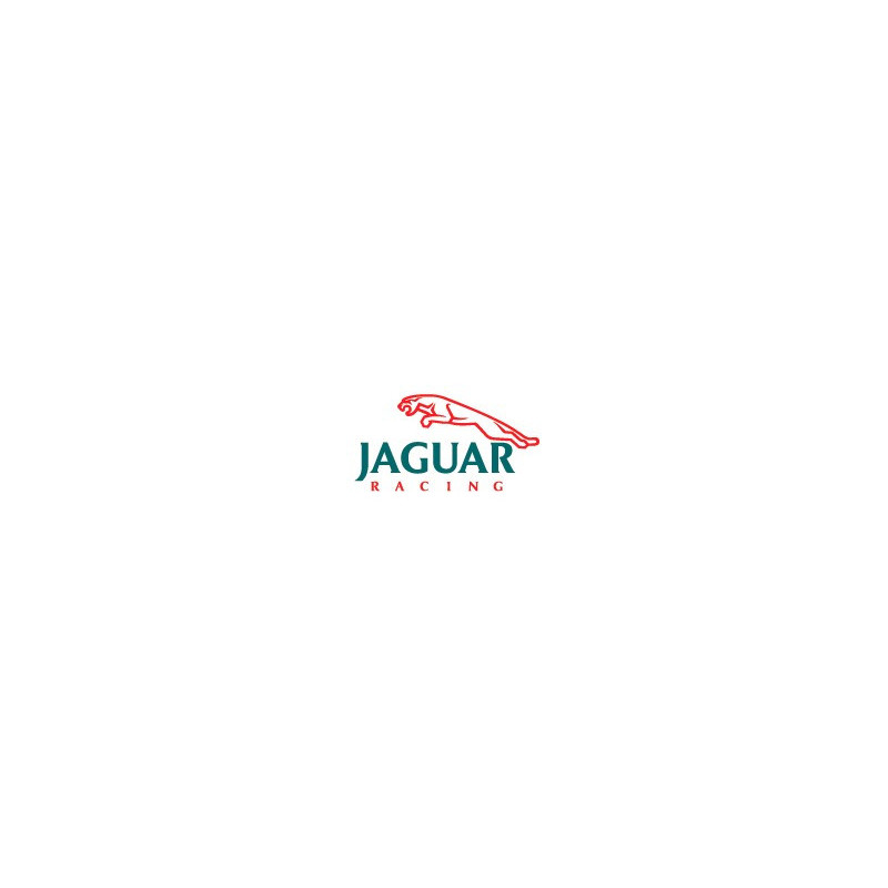 Jaguar Racing Logo