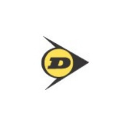 DUNLOP, logo (R752)