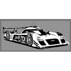 AUDI le MANS 2010 (R1098)