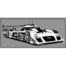 AUDI le MANS 2010 (R1098)